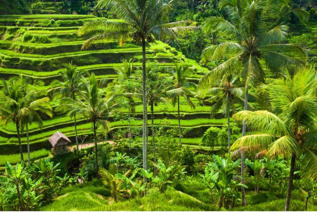 north bali vs south bali