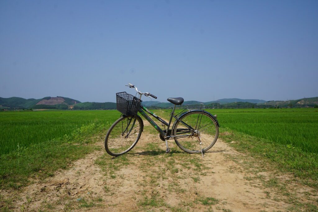 phong nha national park