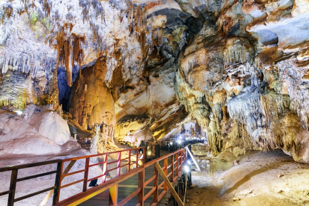 what to do in phong nha
