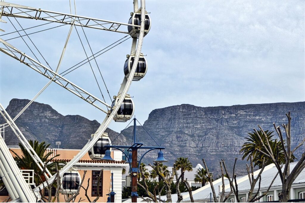 affordable adventures cape town south africa
