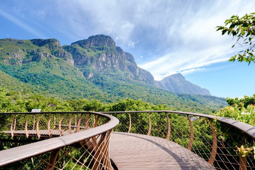 things to do in cape town on a budget