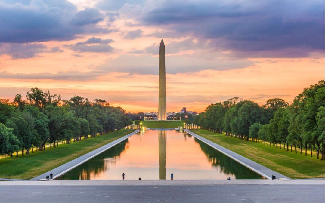 things to do in DC alone