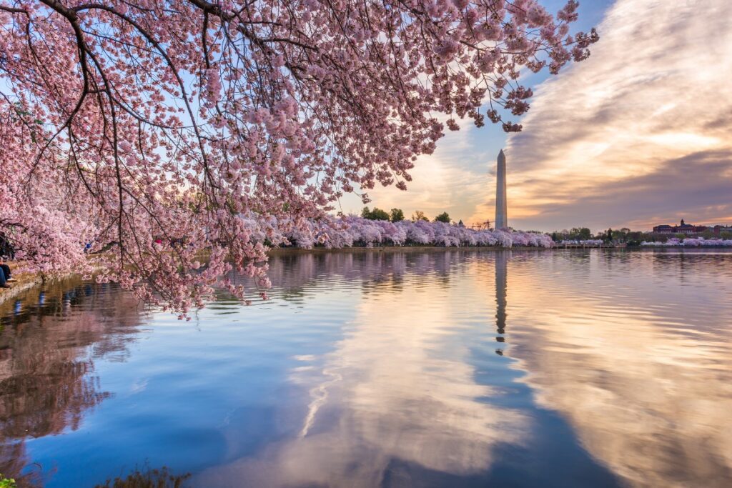 Washington DC solo female travel